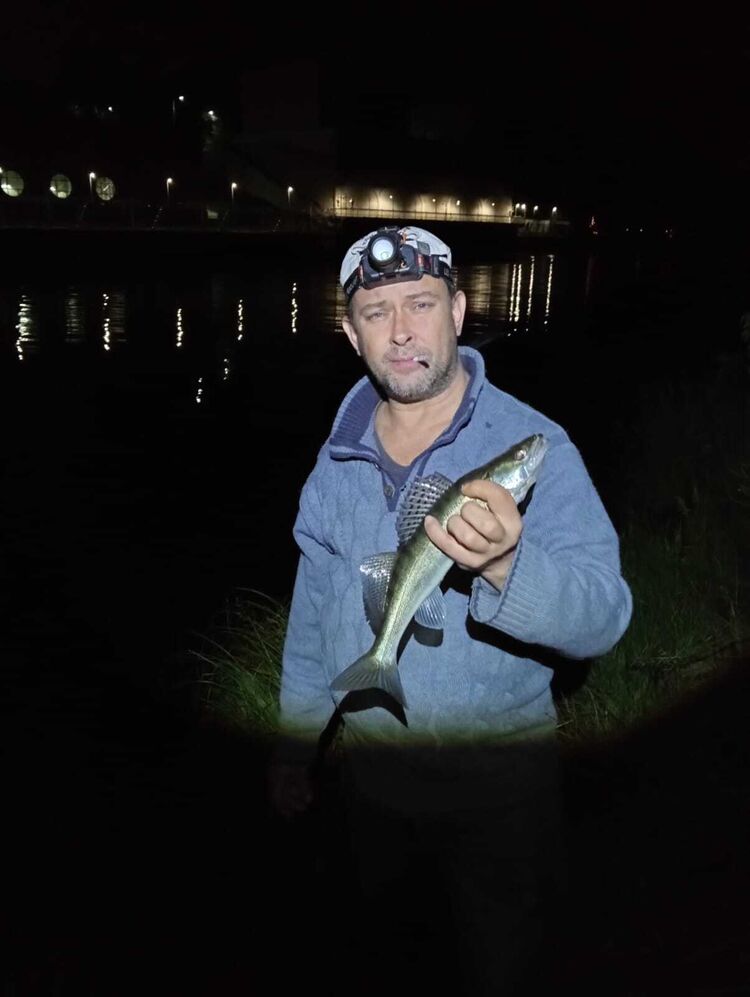 ���������� ������, ���� ������� ������, 47 ���, ������������ ��� ������, ����� � ���������