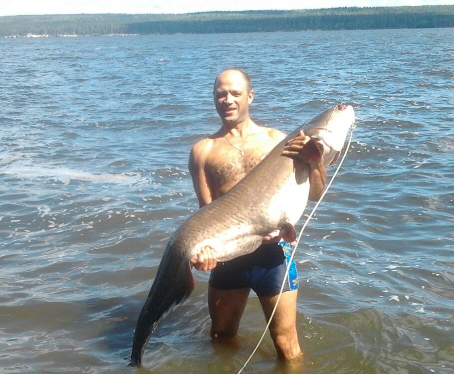 ���������� �����, ���� ������� �������, 43 ����, ������������ ��� ������, ����� � ���������, c�������� ���������