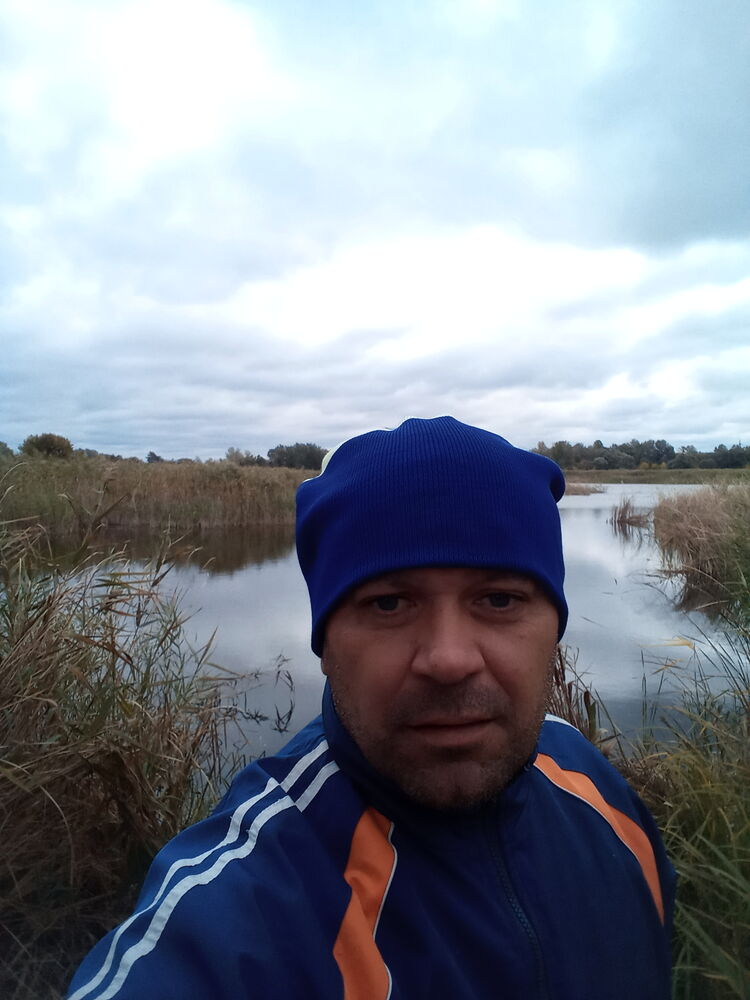 ���� 24378199 ������� �������, 48 ���, ���� ���������� � ��������