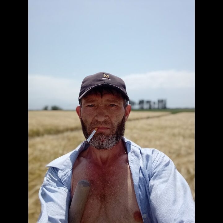 ���� 52591179 ������� ���������, 44 ����, ���� ���������� � �������