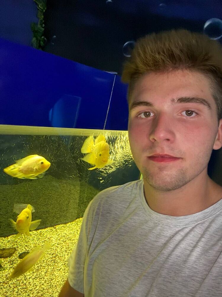 ���������� �������, ���� ����� ����, 20 ���, ������������ ��� ������, ����� � ���������