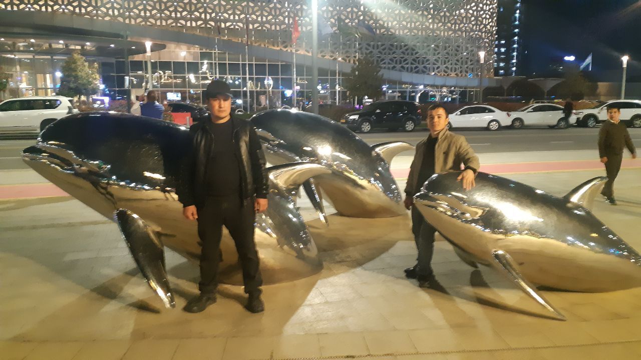 ���� 35494349 ������� Lider, 33 ����, ���� ���������� � ������