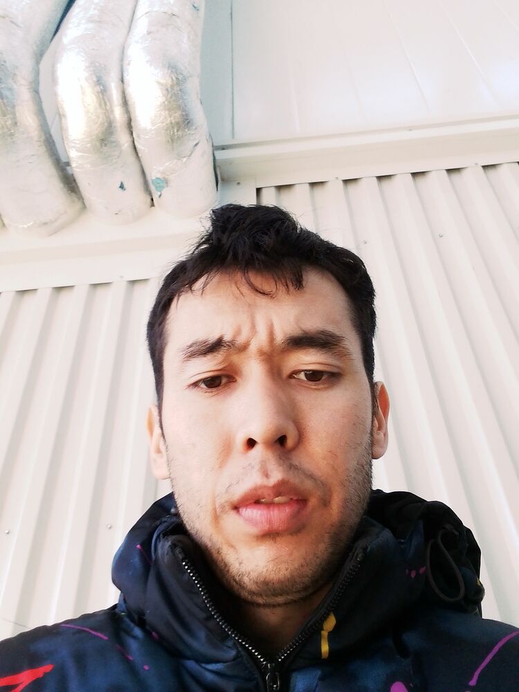  33231709  , 33 ,    