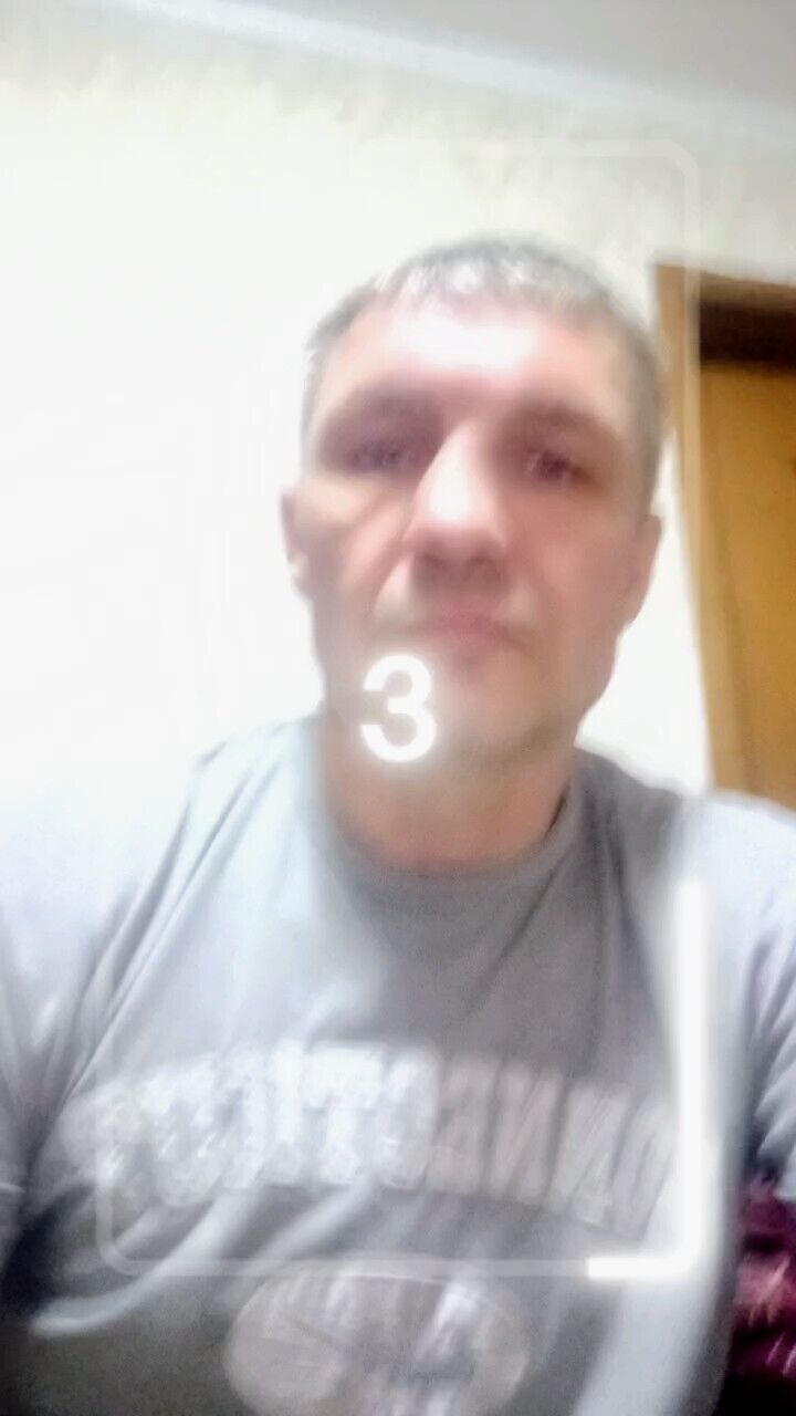  50448079  , 43 ,    