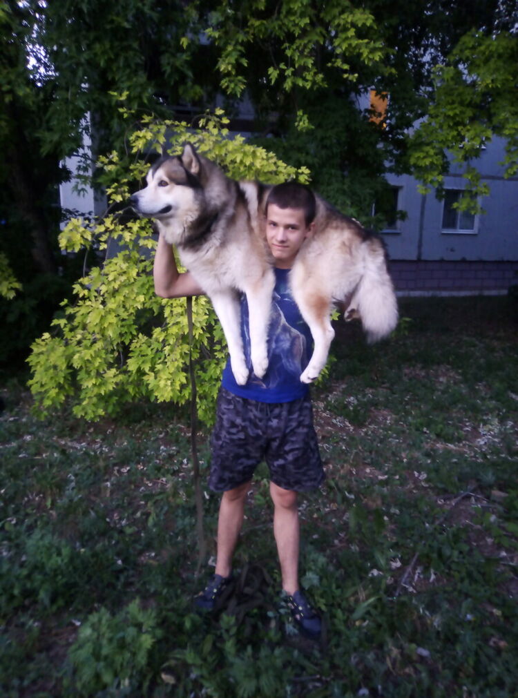 ���� 20503279 ����� ������, 23 ����, ���� ���������� � ��������