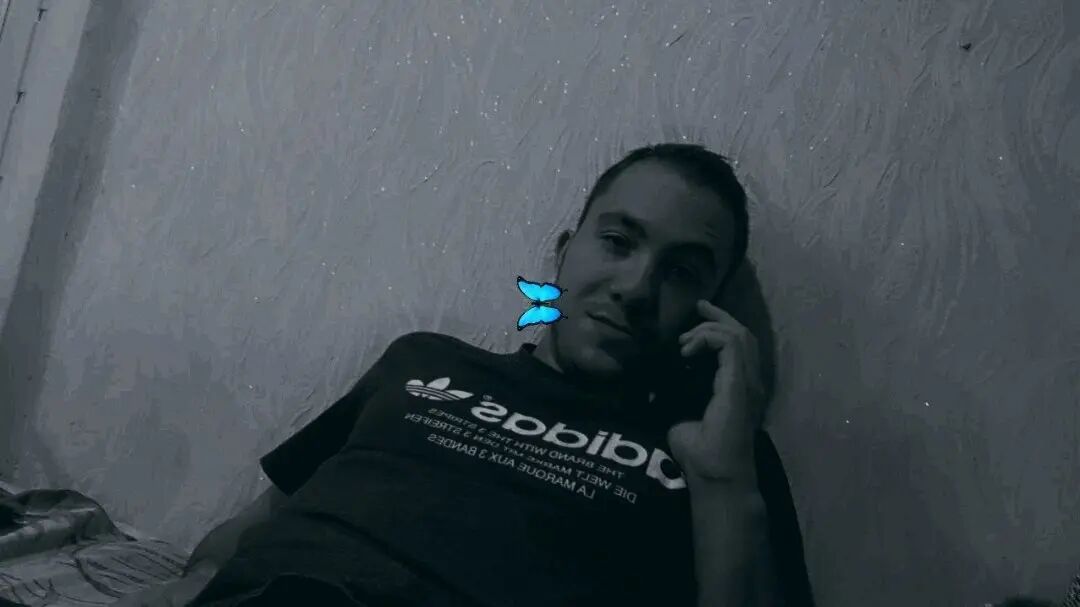 ���� 44828079 ����� �����, 24 ����, ���� ���������� � ������