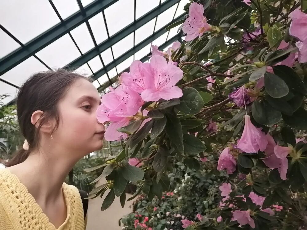 ���� 27841469 ������� �������, 24 ����, ���� ���������� � ������