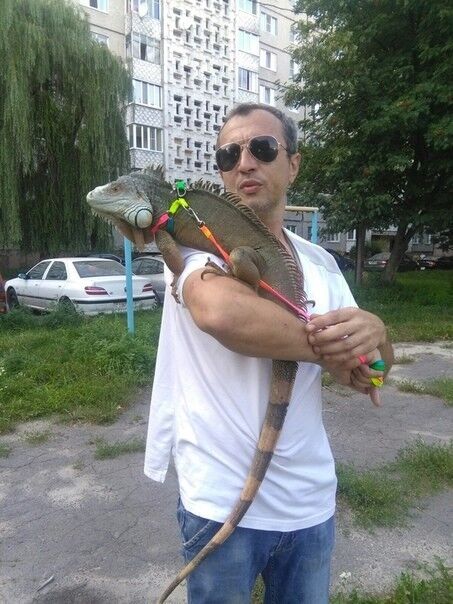 ���������� ������, ���� ������� ������, 48 ���, ������������ ��� ������, ����� � ���������, c�������� ���������