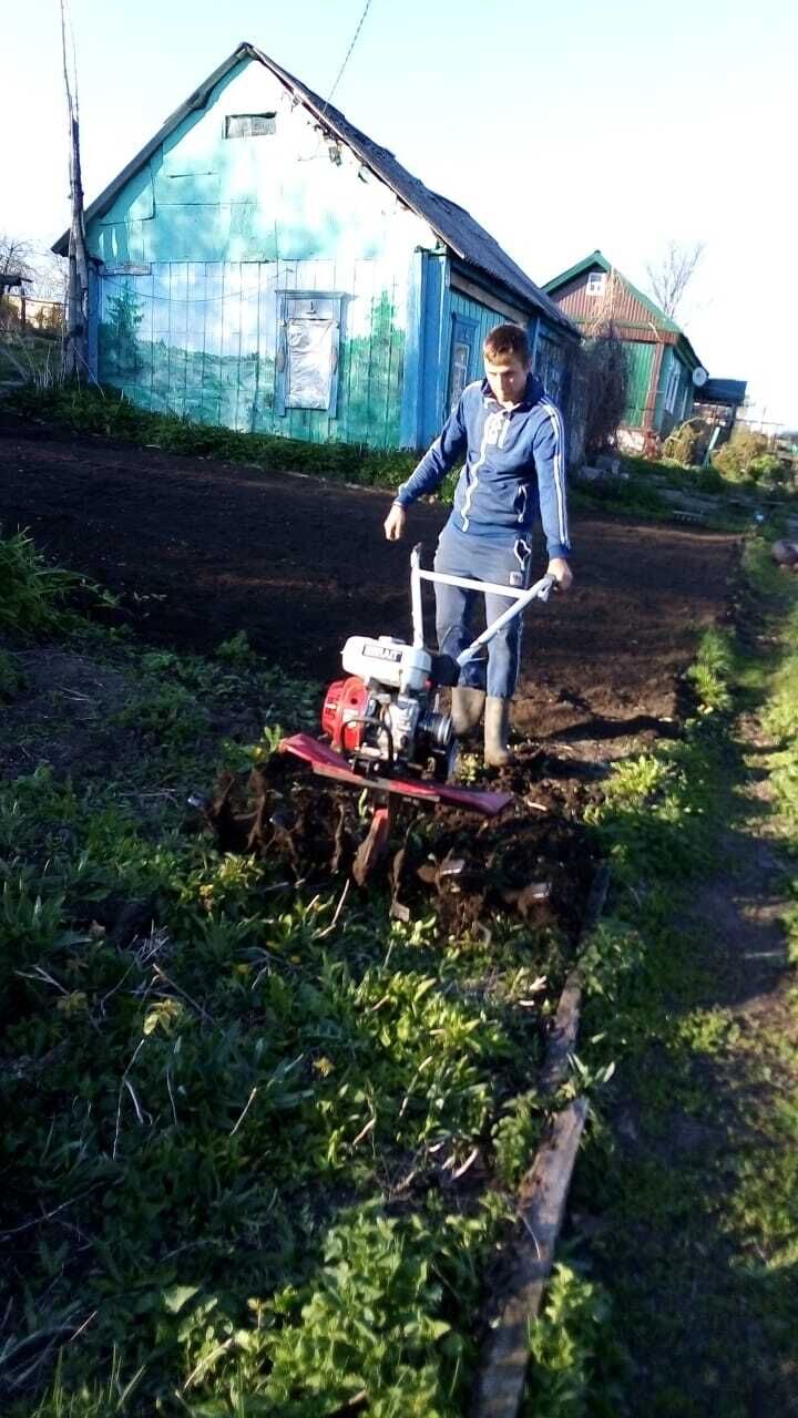  26650379  , 40 ,    