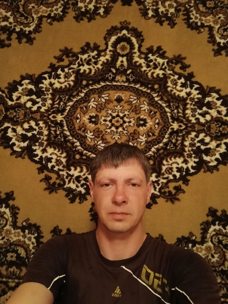  33754929  , 43 ,    