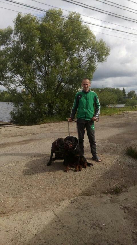 ���� 10775289 ������� ����, 37 ���, ���� ���������� � ��������