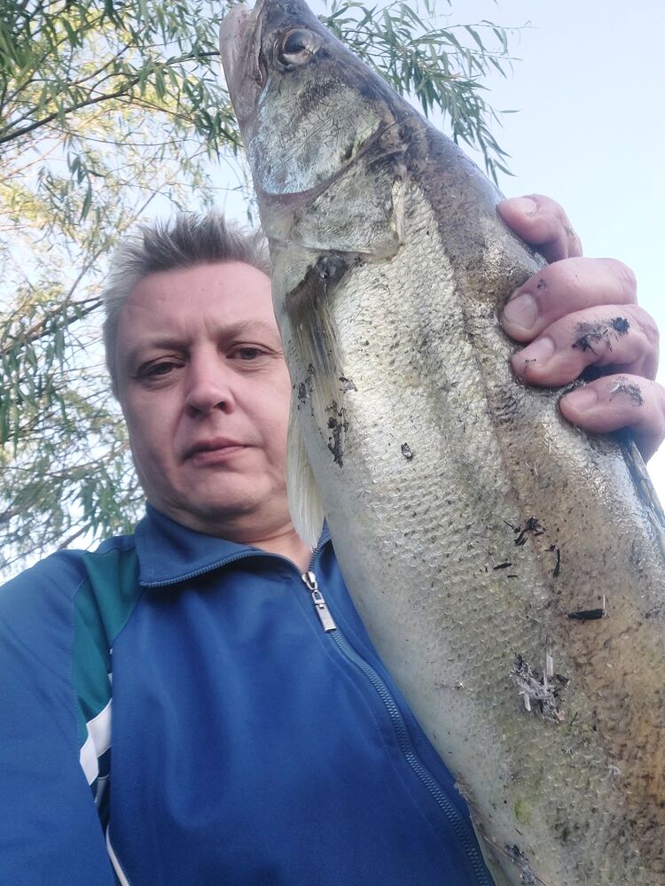  ,   , 49 ,   ,   