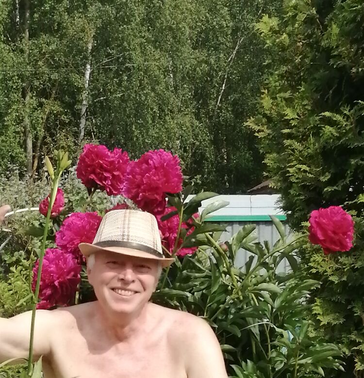 ���� 53757639 ������� ������, 70 ���, ���� ���������� � ������