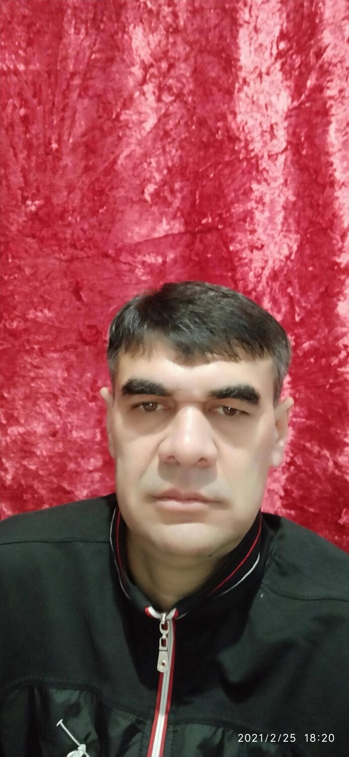  24333099  , 50 ,    