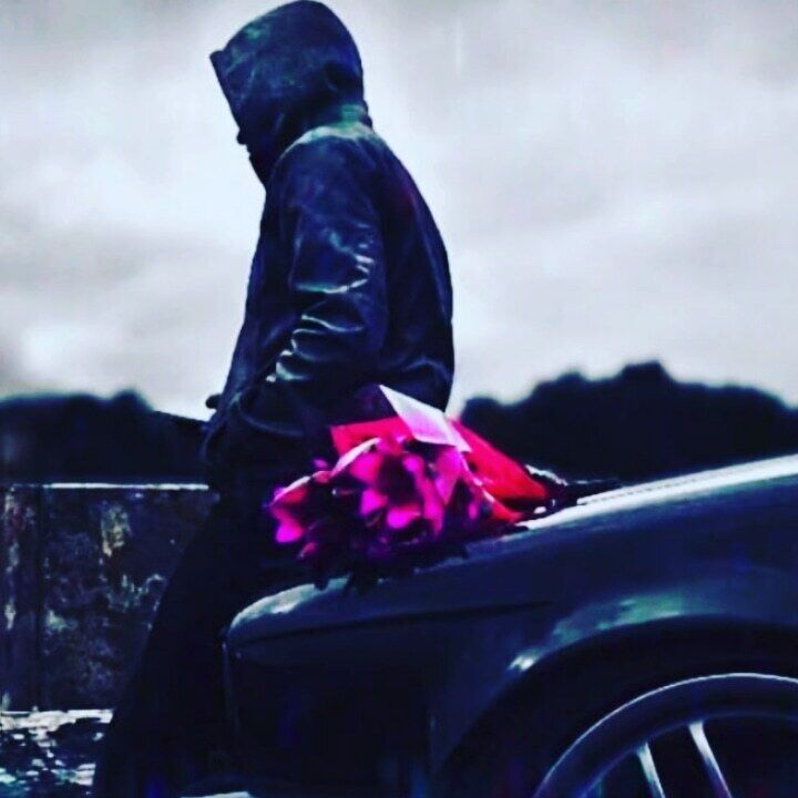 ���� 31685409 ������� NNnn, 36 ���, ���� ���������� � ������