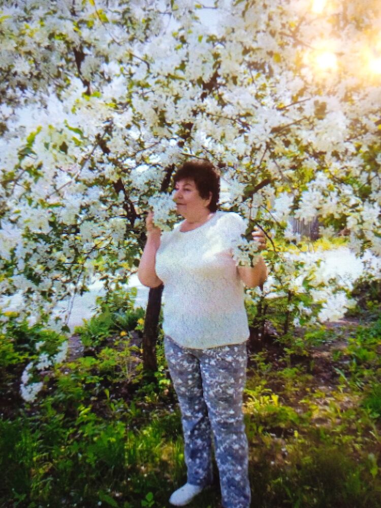 ���� 55572569 ������� ����, 68 ���, ���� ���������� � ������