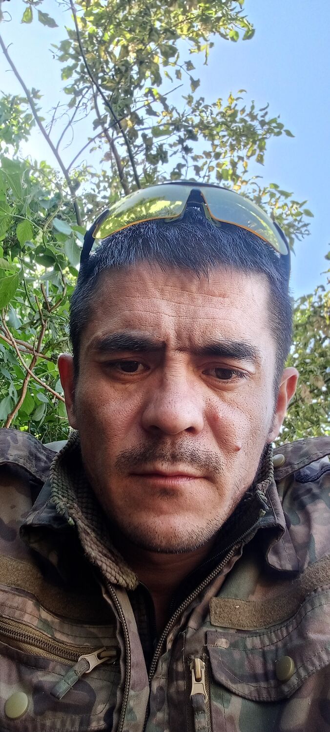  43547059  , 37 ,    