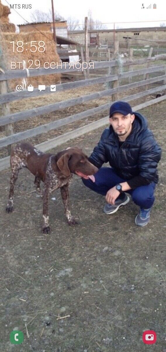 ���������� ������, ���� ������� �����, 37 ���, ������������ ��� ������, ����� � ���������, c�������� ���������