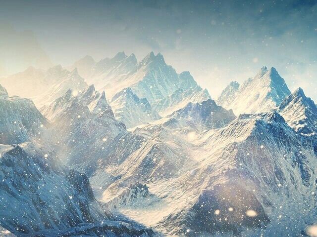 ���� 6536119 ������� ���, 40 ���, ���� ���������� � ������