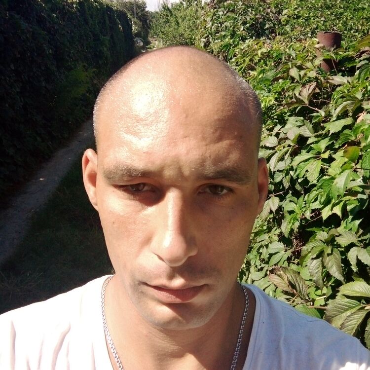  ,   , 38 ,   c 