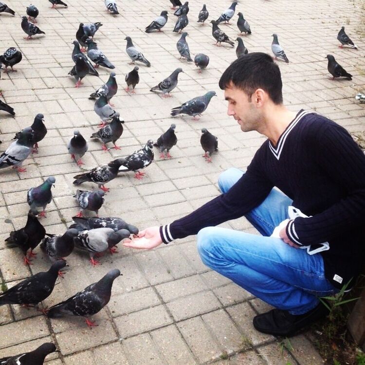 ���� 20951039 ������� Bekzod, 38 ���, ���� ���������� � ��������