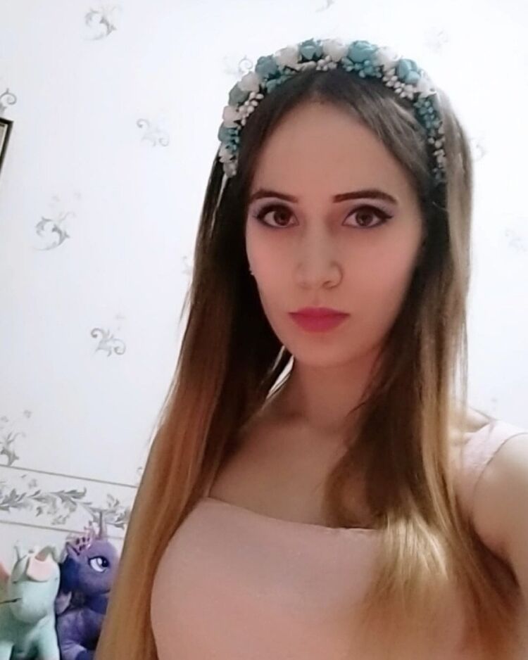  15511279  , 24 ,    