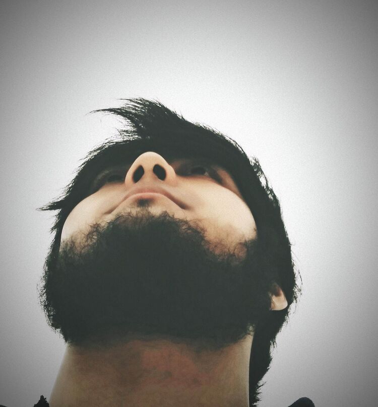  48280409  , 25 ,    