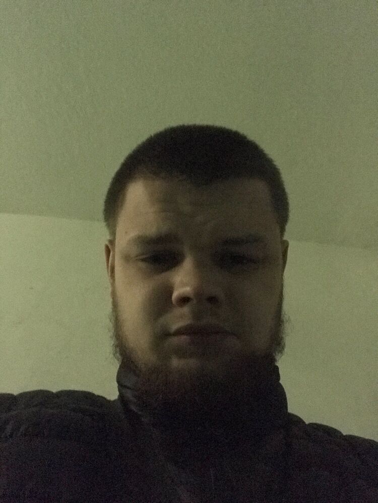  31865559  , 29 ,    