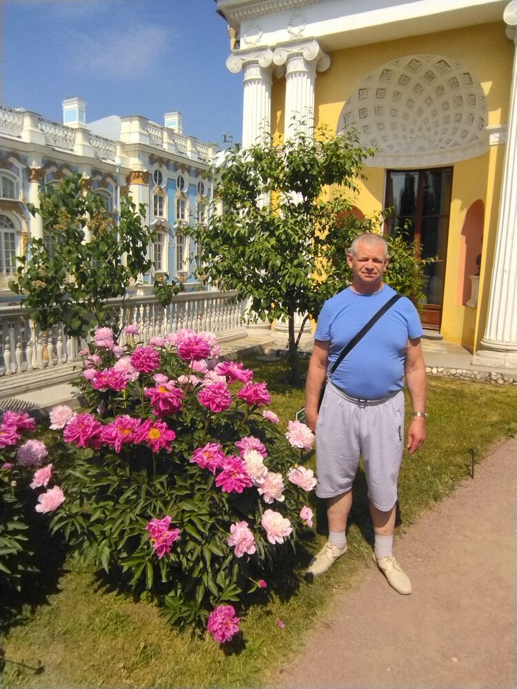  27528499  , 62 ,    -