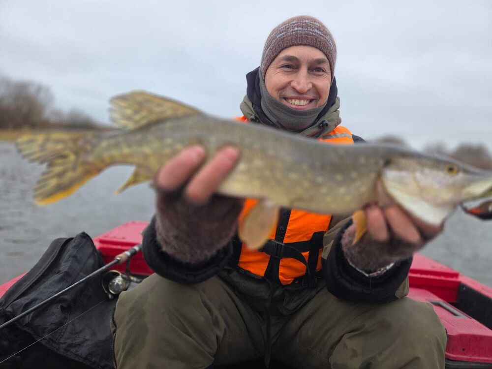 ���� 54764509 ������� ������, 45 ���, ���� ���������� � ��������