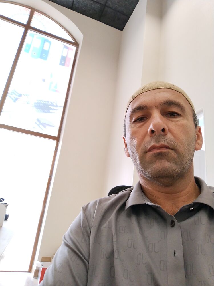  53667659  , 43 ,    -