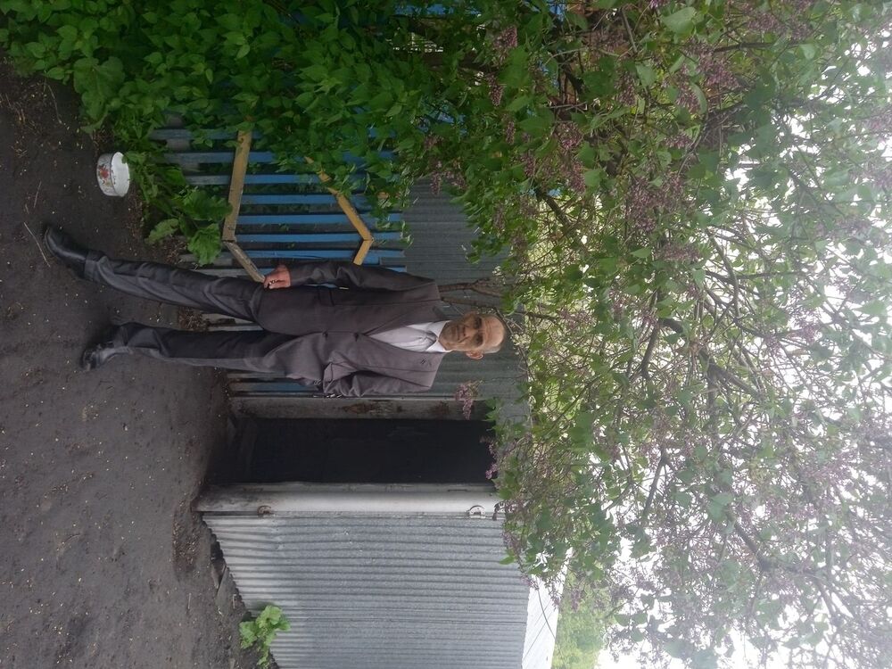  53503269  , 36 ,    