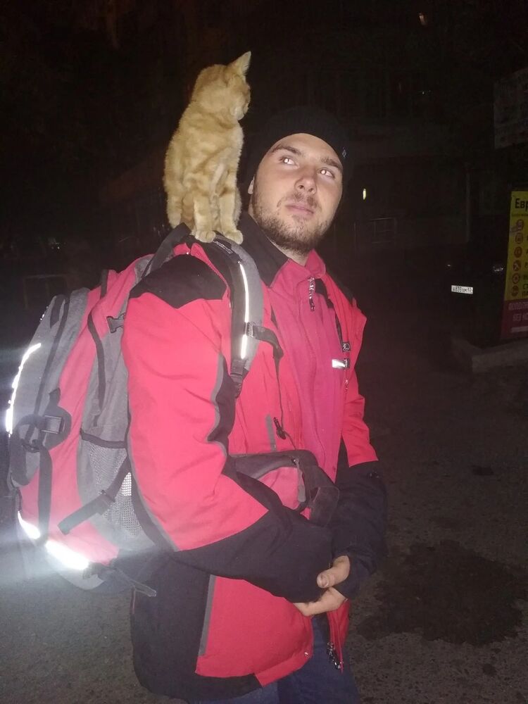  ,   , 28 ,   ,   , 