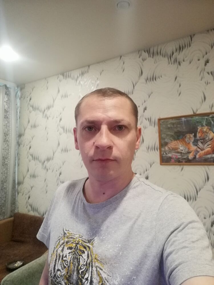  43298259  , 41 ,    
