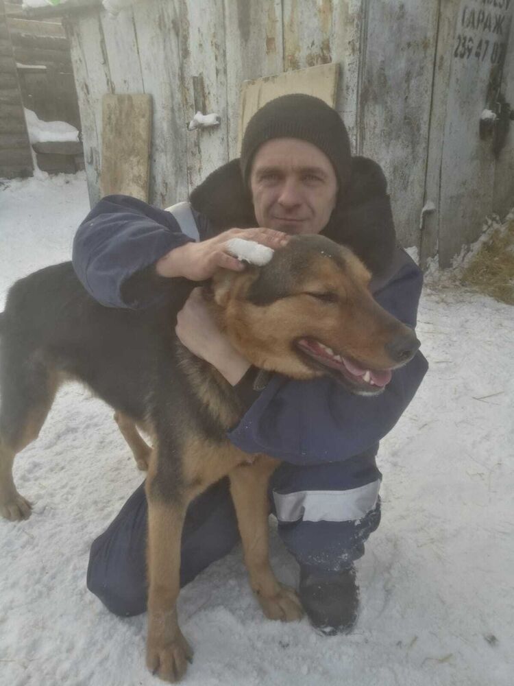 ���� 31667189 ������� ����, 36 ���, ���� ���������� � ������������