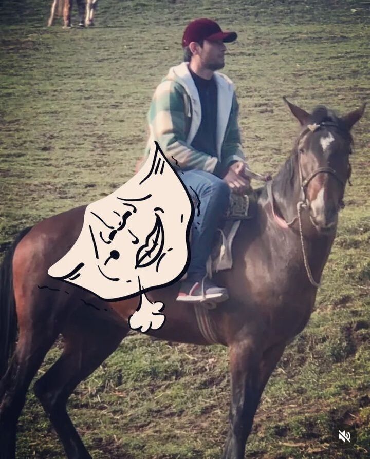 ���� 36497539 ������� Eraj, 27 ���, ���� ���������� � �������