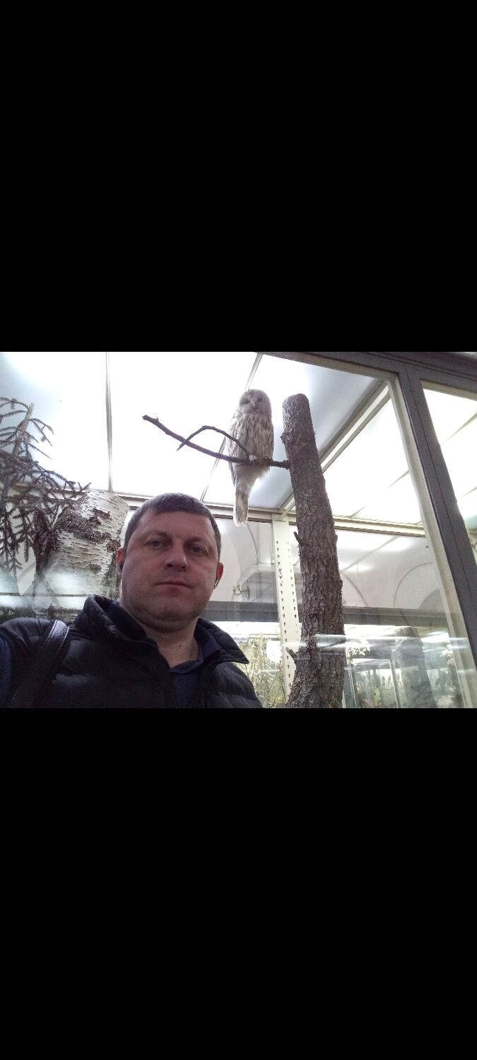 ���������� �����-���������, ���� ������� ����, 41 ���, ������������ 