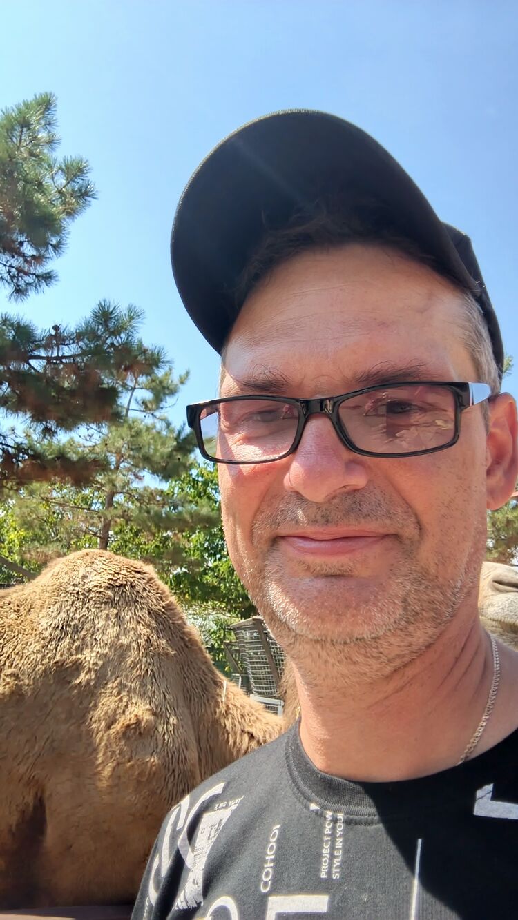 ���������� �����, ���� ������� �������, 52 ����, ������������ ��� ������, ����� � ���������, ���������