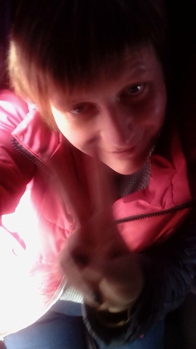 ���� 15958389 ������� �����, 40 ���, ���� ���������� � ����������