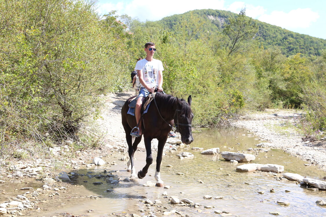 ���������� ������, ���� ������� ������, 34 ����, ������������ ��� c�������� ���������