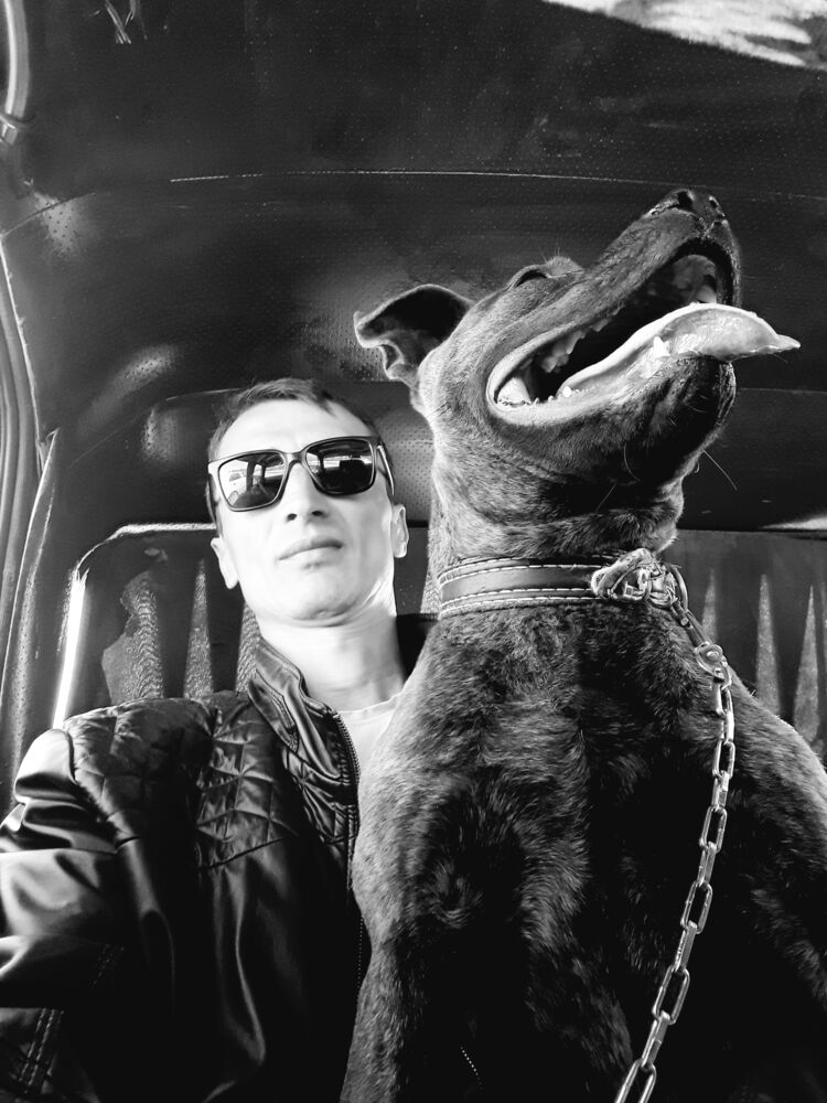  ,   Hero, 41 ,     , c 