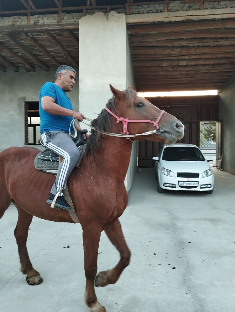 ���������� �������, ���� ������� ����, 43 ����, ������������ ��� ������, ����� � ���������