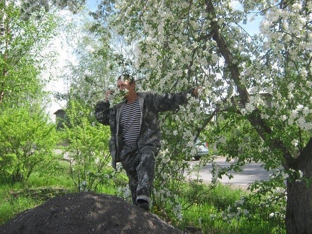   ,   , 52 ,   