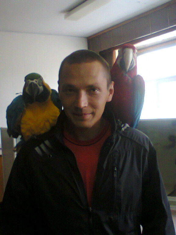   ,   , 39 ,   