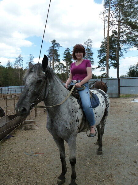 ���� 46650419 ������� �������, 44 ����, ���� ���������� � ����������