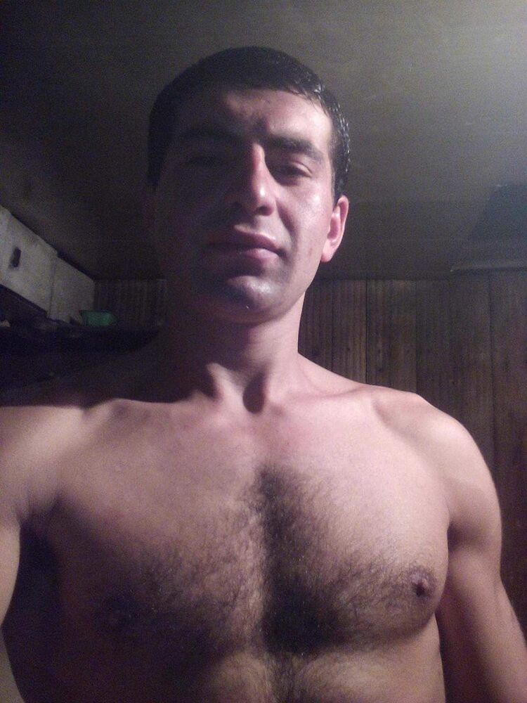  19556159  , 33 ,    