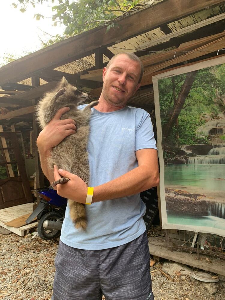 ���� 40879849 ������� �������, 35 ���, ���� ���������� � ��������