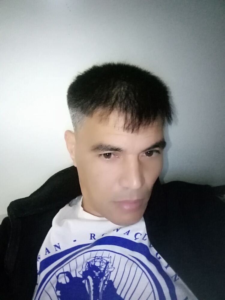  45513559  , 44 ,    