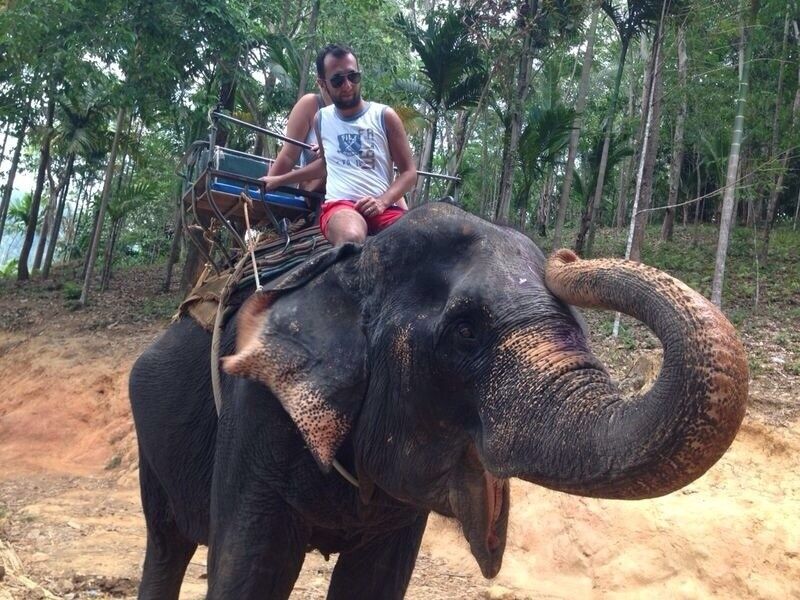 ���������� ������, ���� ������� ������, 44 ����, ������������ ��� ������, ����� � ���������, c�������� ���������