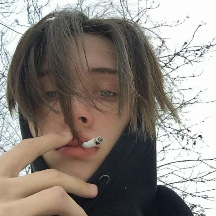 ���� 54930549 ����� ����, 22 ����, ���� ���������� � �������